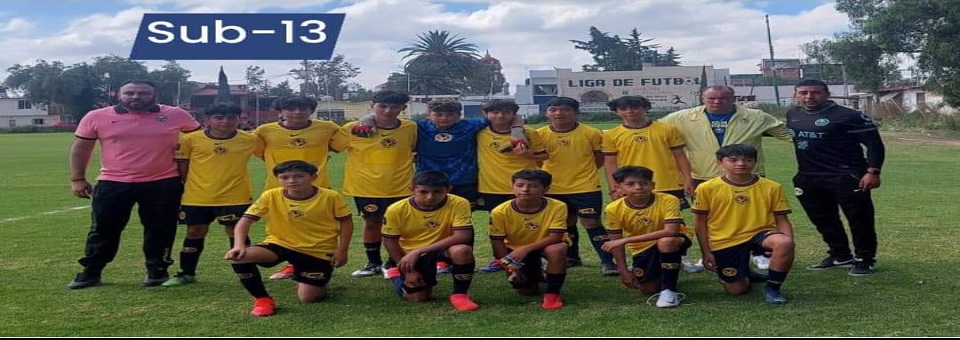 SUB-13-REDUC